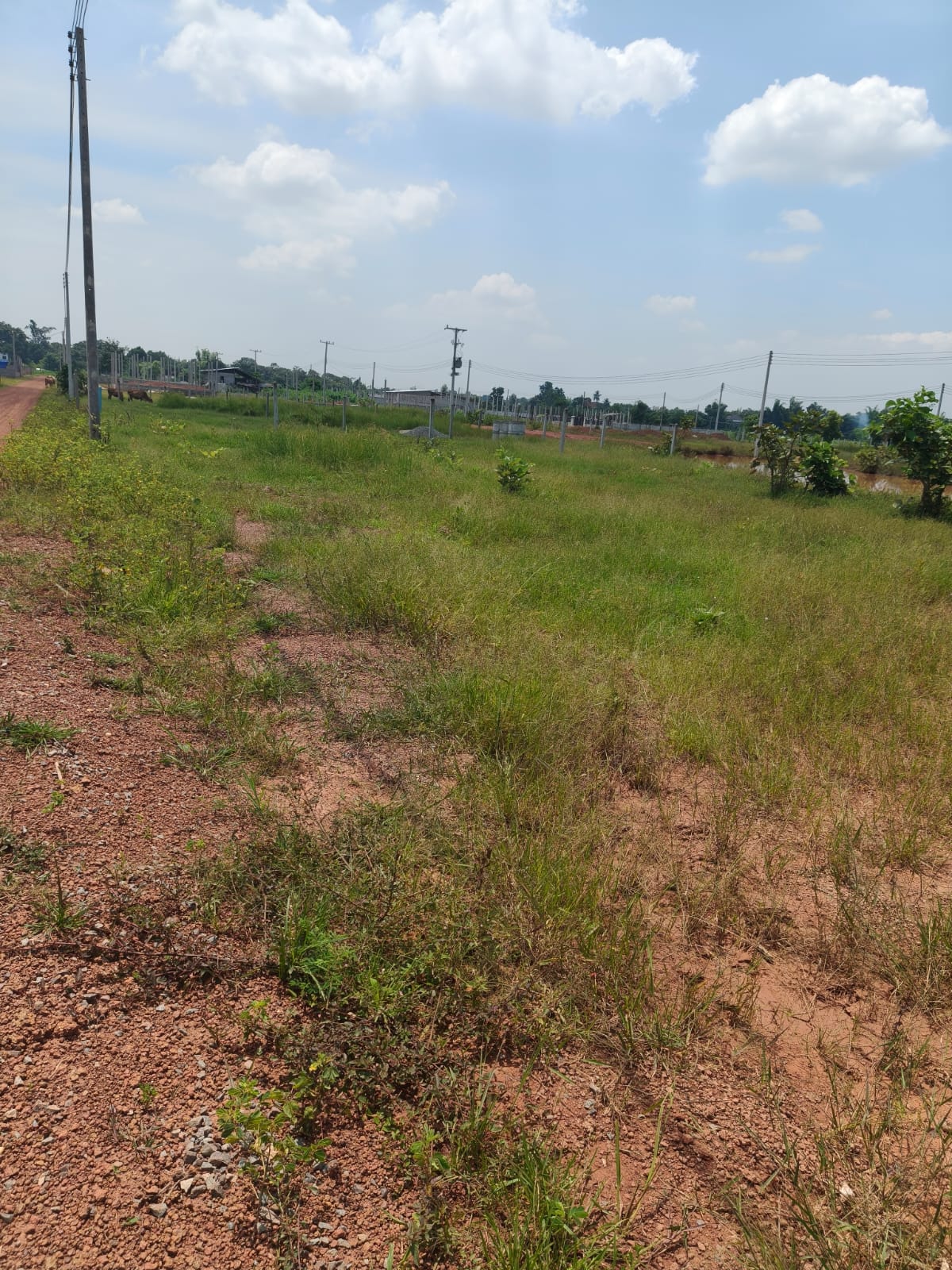 Vacant Land