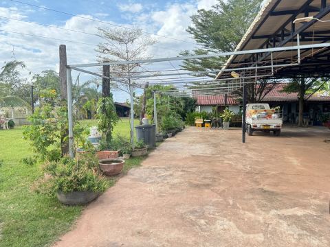 ດິນພ້ອມເຮືອນສວນ