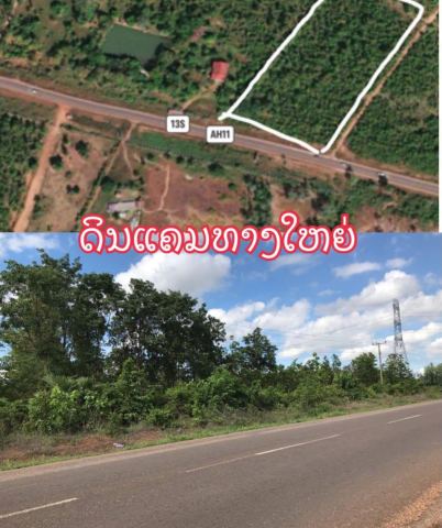 Roadside Soil