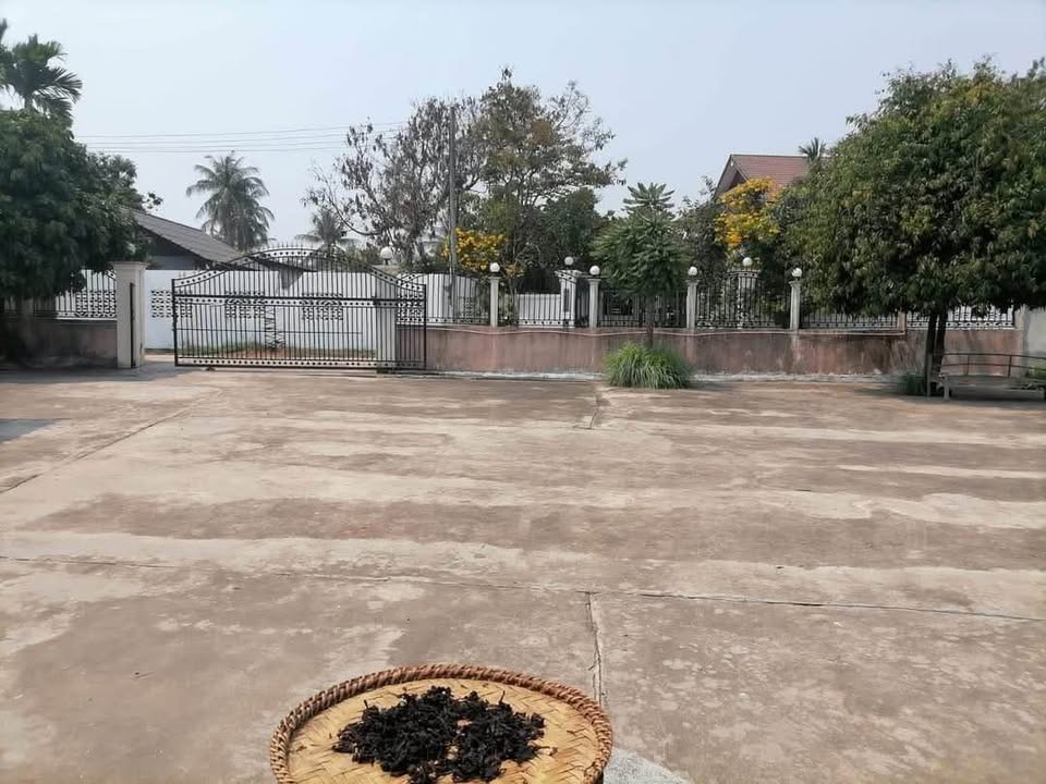 Land for sale 2