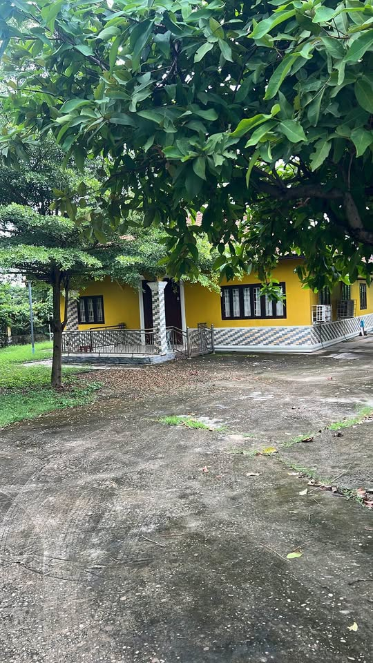 ດິນພ້ອມເຮືອນ 1