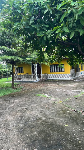 ດິນພ້ອມເຮືອນ