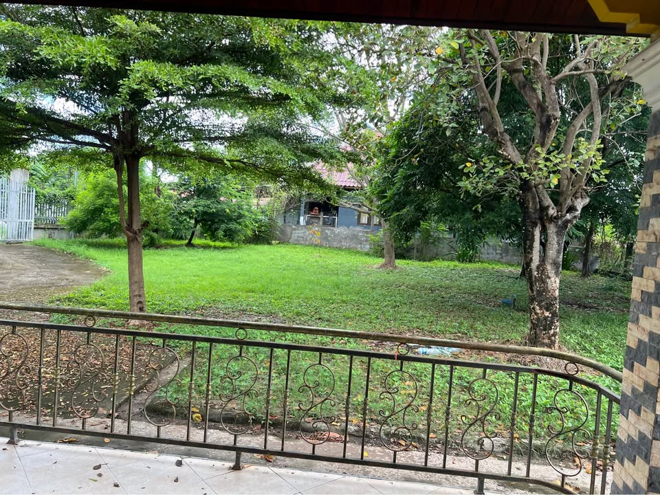ດິນພ້ອມເຮືອນ 2