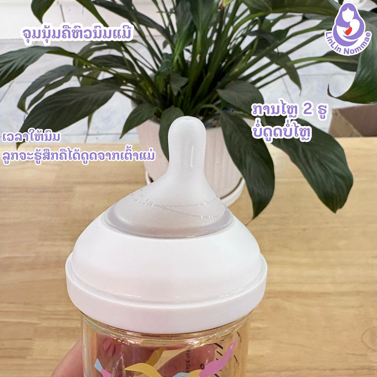🍼ປ້າຍຢາແມ່ໆຈ໊າ ✨ ⁠ຂວດນົມ Moyuum 3